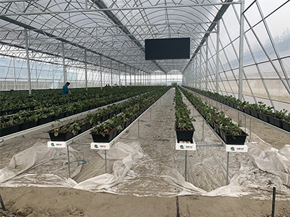 浙江德清中蘇科技項目