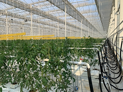 浙江莫干山水木九天項目