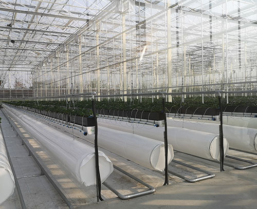 植物根部通風循環(huán)系統(tǒng)