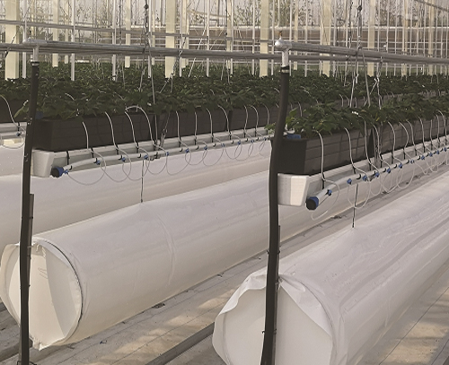 植物根部通風(fēng)循環(huán)系統(tǒng)