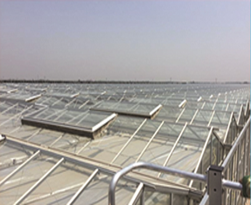 河北南和鋁天溝溫室