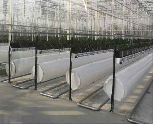 植物根部通風(fēng)循環(huán)系統(tǒng)