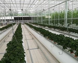 植物根部通風循環(huán)系統(tǒng)