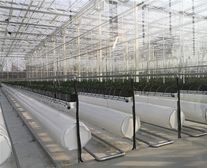 植物根部通風循環(huán)系統(tǒng)