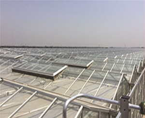 河北南和鋁天溝溫室