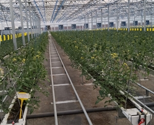 多功能V型栽培槽種植系統(tǒng)